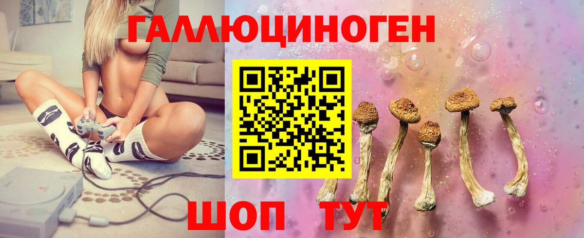 продажа наркотиков  Псилоцибиновые грибы MAGIC MUSHROOMS  Вход с VPN  Кострома 